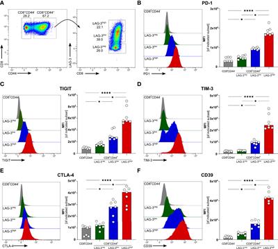 Increased Expression of Multiple Co-Inhibitory Molecules on Malaria-Induced CD8+ T Cells Are Associated With Increased Function Instead of Exhaustion